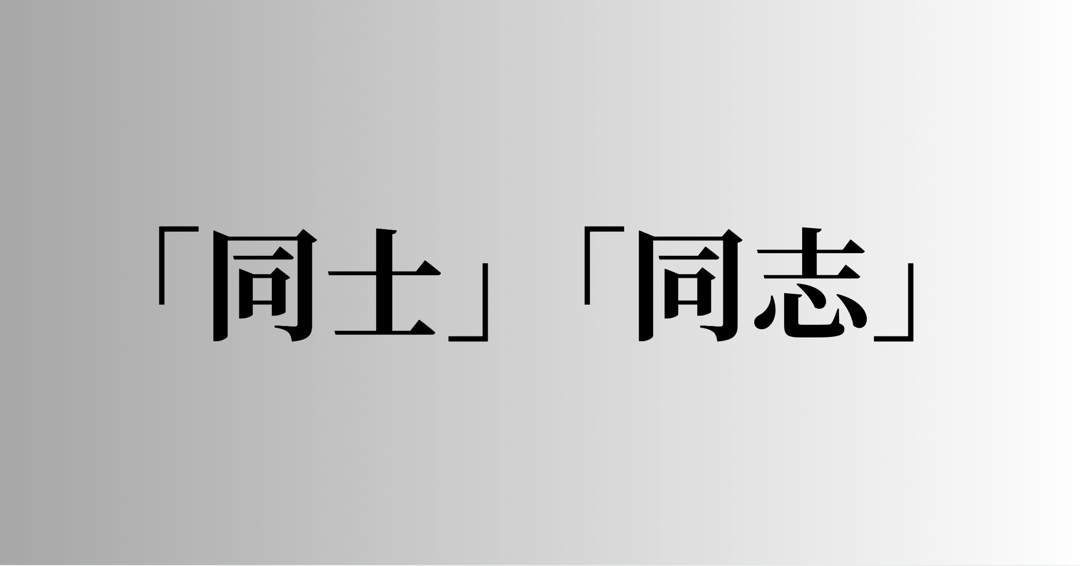 「同士」「同志」の意味と違い